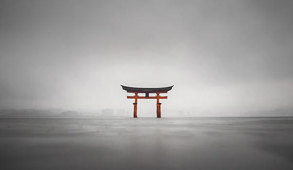 Японский регулятор не в курсе планов авиакомпаний возобновить прямые рейсы в РФ