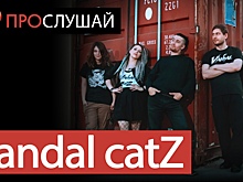 Время бунтарей. Группа Vandal СatZ устроила переворот в интернете