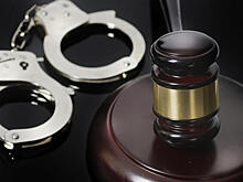 Главный редактор «Медиазоны» арестован на 25 суток за ретвит