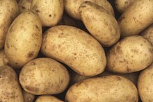 Глава Союза селянства Украины посетовал на импорт картофеля из Африки