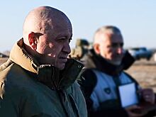 «Желательно без проволочек и бюрократии»: Пригожин поддержал инициативу создания теробороны в Московской области