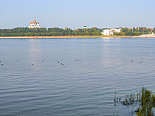 Собрать пластик и помочь Волге: активист рассказала, как присоединиться к проекту