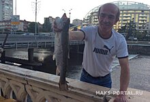В Сочи рыбаку повезло с уловом: серебристая форель, 1,5 кг