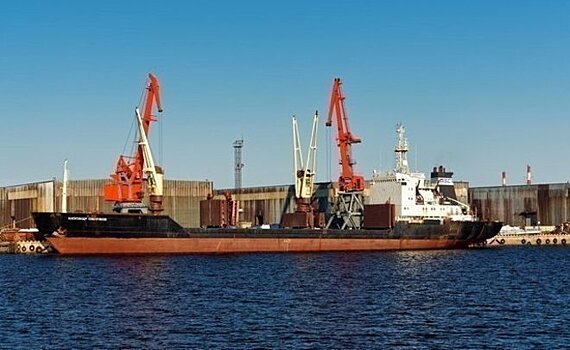 Совфед одобрил закон о страховой поддержке зерновой сделки