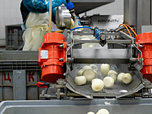 Mr. Food планирует заменить 85% импортного оборудования к 2030 году