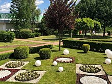 Будущее декоративного садоводства изучают в Тимирязевской академии