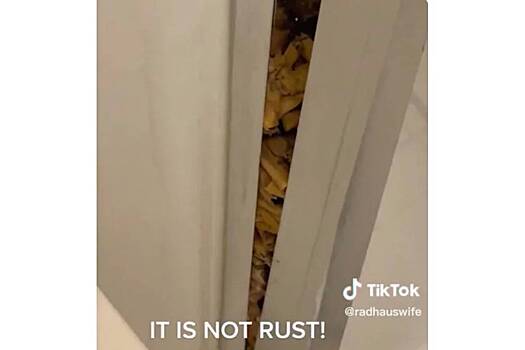 Жалующаяся на вонь в доме женщина нашла тысячи окурков