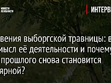 Откровения выборгской травницы: в чём смысл её деятельности и почему наука прошлого снова становится популярной?