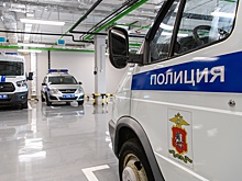 СМИ сообщили, что замгубернатора Вологодской области забрали в полицию после драки. Что в этой истории не так