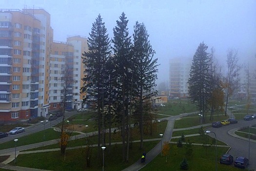 Атлантические циклоны не дают развернуться зиме в Московском регионе