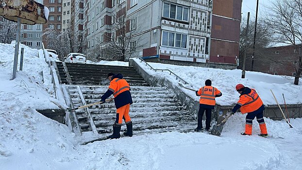 Депутаты Новосибирска решили своими силами контролировать борьбу с гололедом в городе
