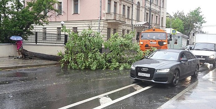 Москвичей предупредили о холодном ветре