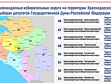 Тихорецкий округ замкнул список одномандатных округов Кубани на выборах в Госдуму по числу выдвиженцев