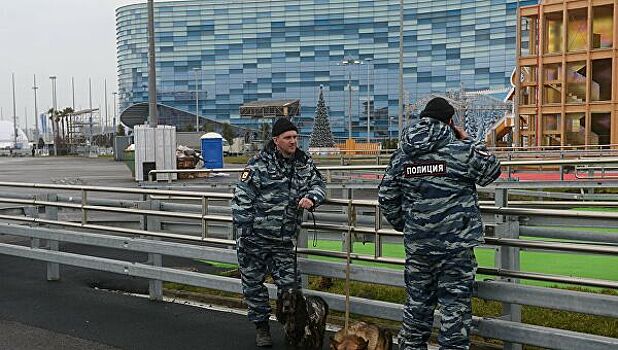 Серийных поджигателей задержали в Сочи