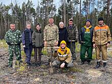 В Бурятии у побережья Байкала высадили несколько сотен сосен