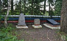 Полиция ищет вандалов, спиливших крест на кладбище в Актанышском районе РТ