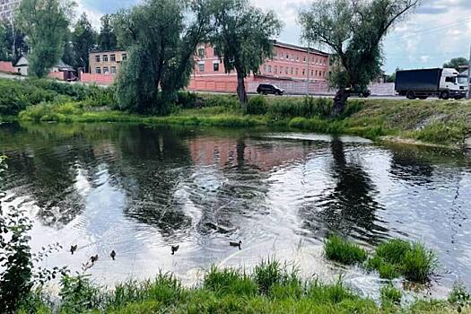 Река снова чистая: в городском округе Пушкинский ликвидировали последствия аварийного сброса стоков