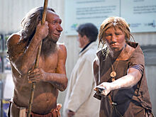 Ученые допустили гибель неандертальцев из-за магнитного поля