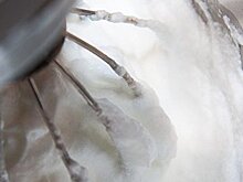 Киевлянин обмазал полицейского сливками ради денег — видео