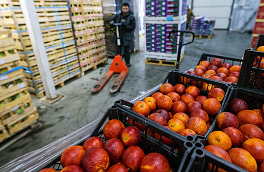 Белоруссия объявила о вводе продуктового эмбарго в ответ на новые санкции Запада