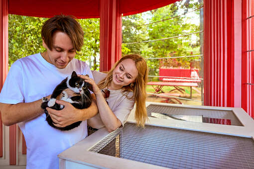 На «Моспитомце» дали рекомендации для желающих взять животное из приюта