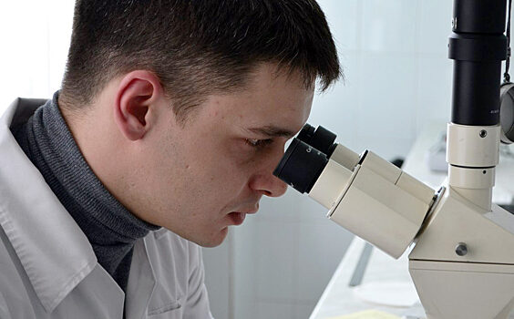 Новосибирские ученые ускорят развитие генетических технологий