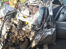 Под Рязанью в ДТП с грузовиком погибли четыре человека