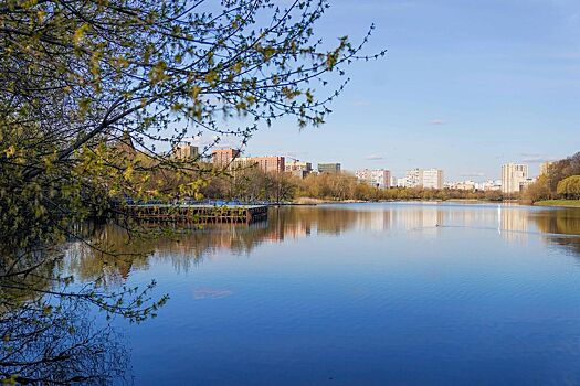 Райский остров, виноград и колыбель флота. История и современность усадьбы Измайлово