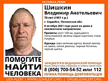 В Сердобске пропал 70-летний Владимир Шишкин