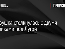 Легковушка столкнулась с двумя грузовиками под Лугой