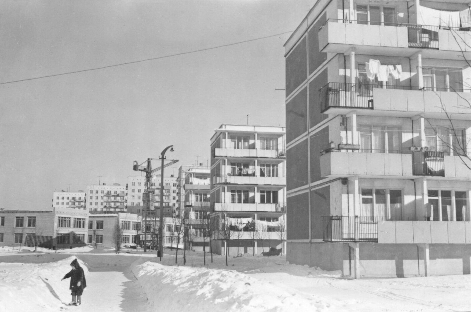 Главархив рассказал, как на карте появился город Зеленоград