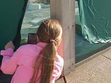 В Московском зоопарке заявили о случаях вандализма со стороны гостей