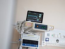 В Татарстане скончалась 9-летняя девочка, на которую напала стая собак