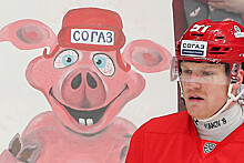 Выступление Feduk, плакат со свином, «Спартак» в чёрной форме. Яркие фото победы «Торпедо»