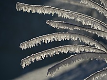 В Москву пришел долгожданный снег