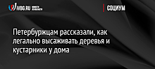 Петербуржцам рассказали, как легально высаживать деревья и кустарники у дома