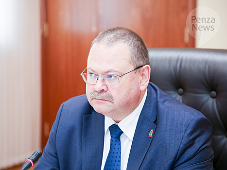 Мельниченко примет участие в парламентских слушаниях по проекту федерального бюджета