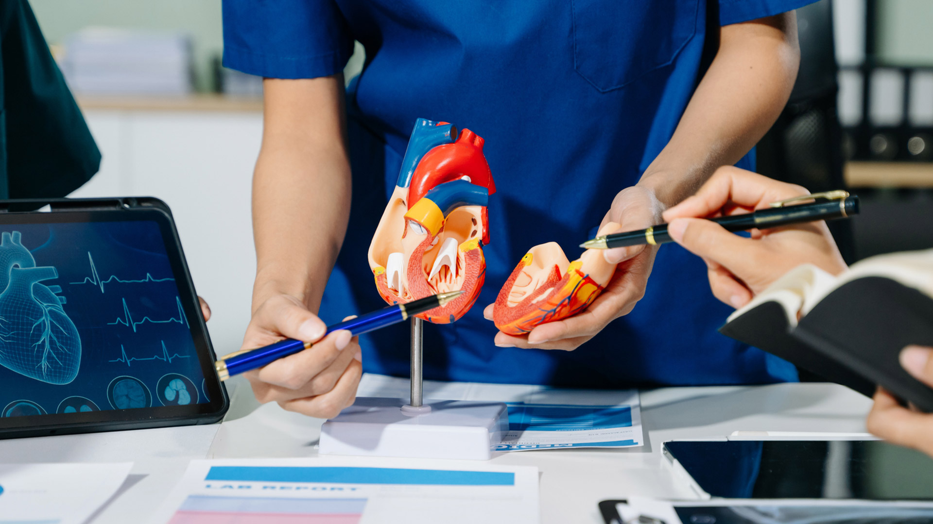 Ученые нашли способ восстановить сердце после инфаркта и предотвратить образование камней в почках