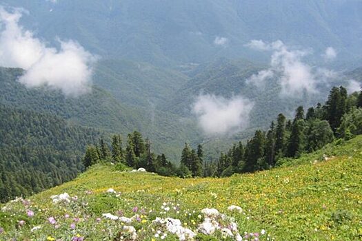 Как избежать проблем в Абхазии: топ-5 запретов для россиян