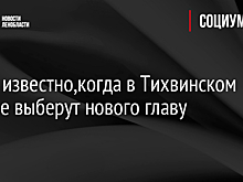 Стало известно, когда в Тихвинском районе выберут нового главу