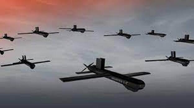 Таинственные дроны-камикадзе: США поставили Киеву барражирующие боеприпасы &laquo;Призрак феникса&raquo;