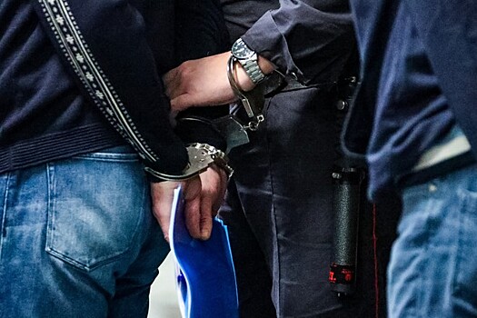 СМИ: 21-летнего ростовчанина задержали за оправдание терроризма в соцсетях