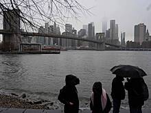 «У меня дергается глаз». Тревел-блогер описал особенности жизни в США