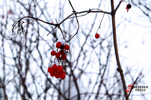Башгидромет предупредил жителей региона о грядущих заморозках