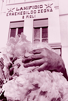 Модная стрижка: как стадо овец привело Ermenegildo Zegna к победе