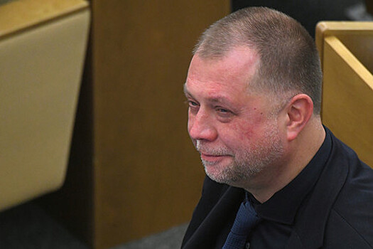 Депутат Бородай: украинские ракеты "Фламинго" не повлияют на ход СВО