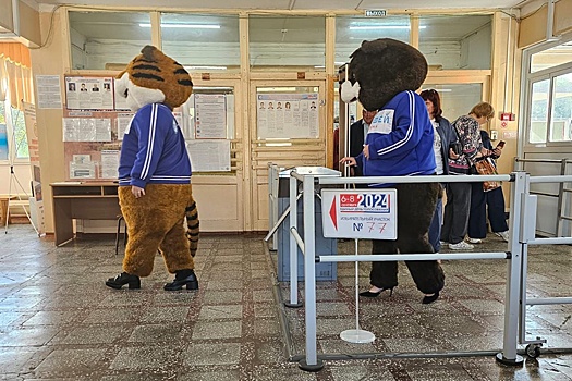 В Хабаровске на избирательный участок пришли "тигр" и "медведь"