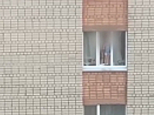 В Вологде сотрудники патрульно-постовой службы полиции спасли шестилетнего мальчика, оказавшегося в опасности