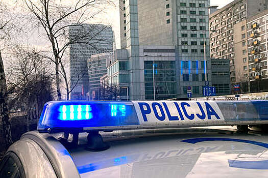 ФБК: в Польше арестовали организатора нападения на Леонида Волкова Блинова