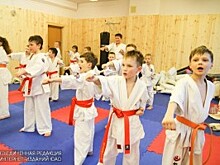 Бесплатные занятия по карате стартовали в районе